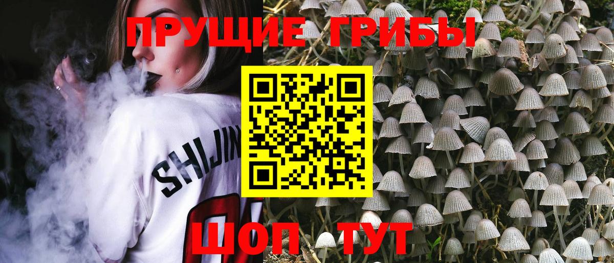 Черногорск  Галлюциногенные грибы мухоморы  Вход с VPN 