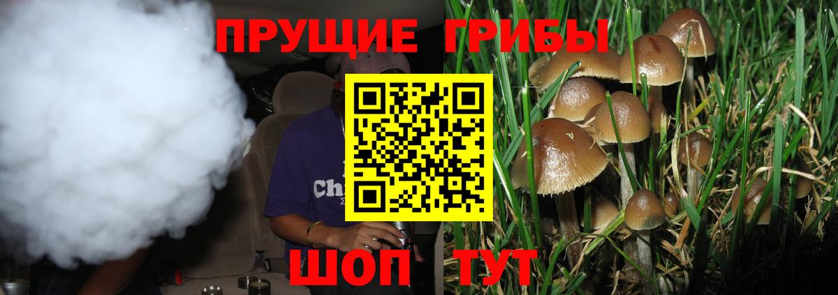 Галлюциногенные грибы ЛСД Черногорск